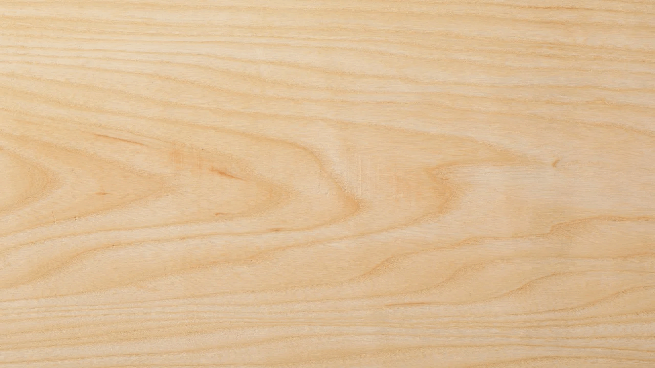 maple-wood